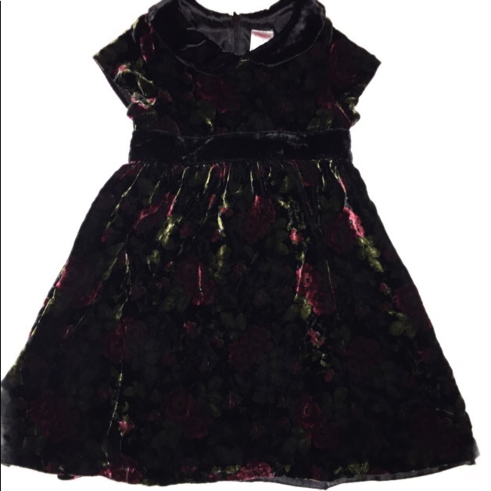 Girl’s Rose Velvet Dress Gymboree size 3T